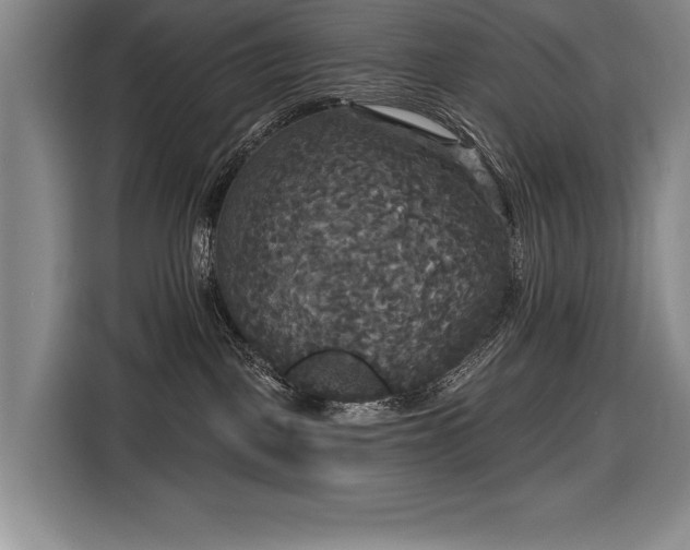 X0000116850093200912221127