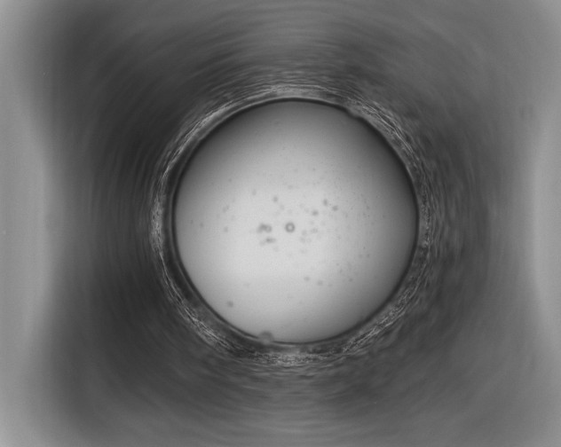 X0000116850098200912221127