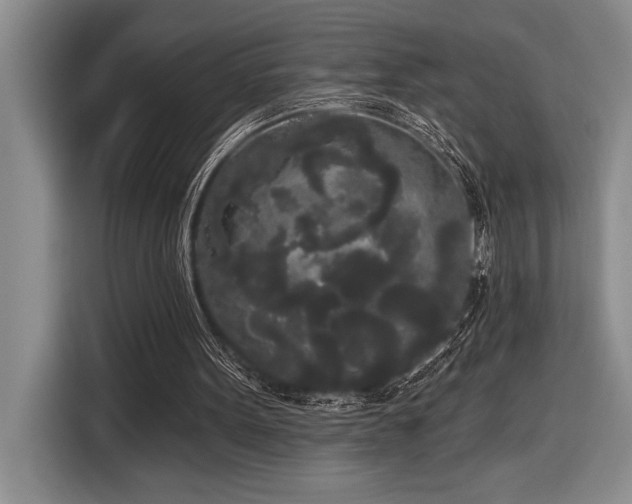 X0000116850099200912221127