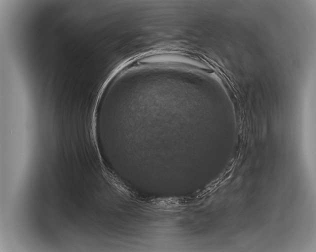 X0000116850100200912221127