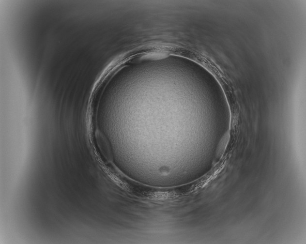 X0000116850101200912221127