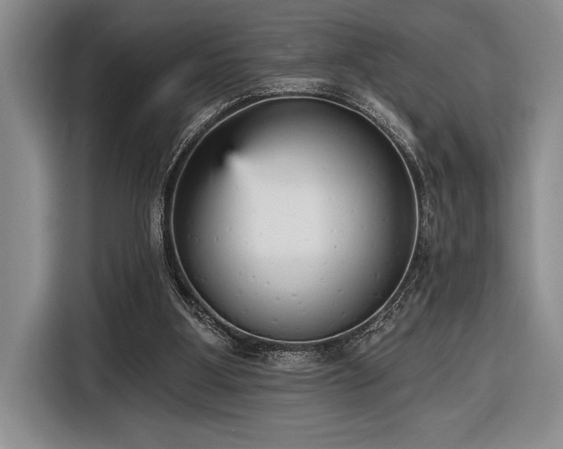 X0000116850107200912221126
