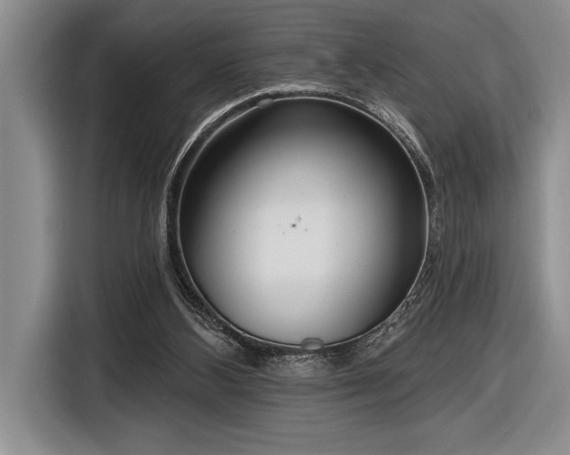 X0000116850108200912221126