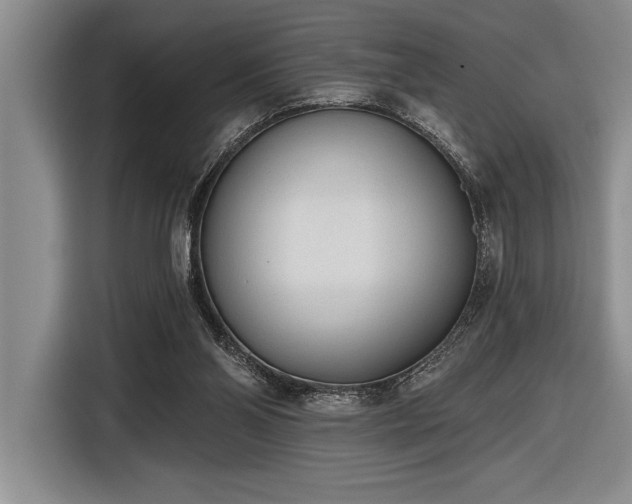 X0000116850110200912221126