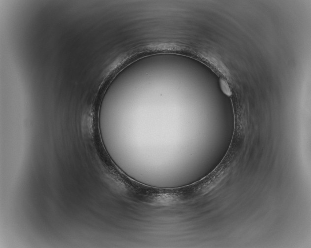 X0000116850111200912221126
