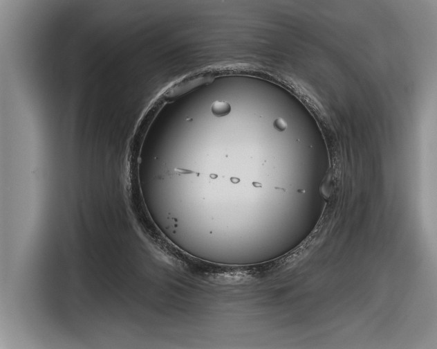 X0000116850112200912221126