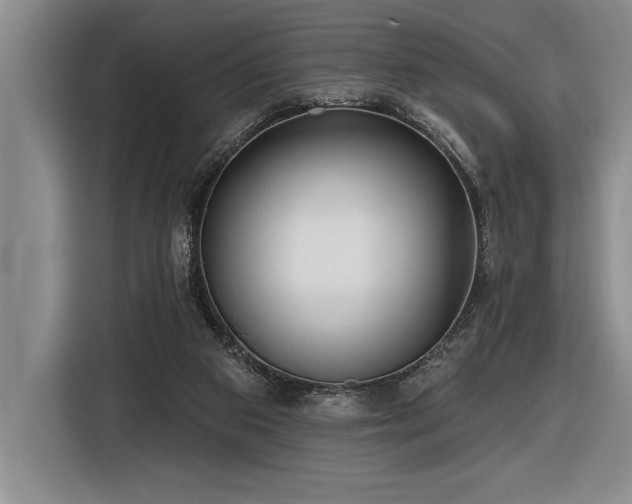 X0000116850113200912221126