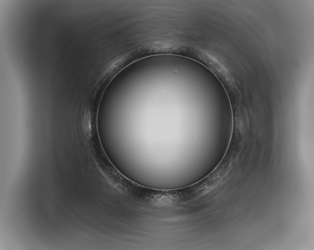 X0000116850115200912221126