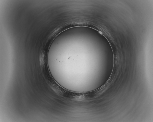X0000116850116200912221126