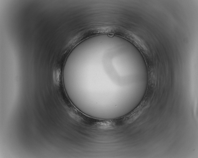 X0000116850118200912221126