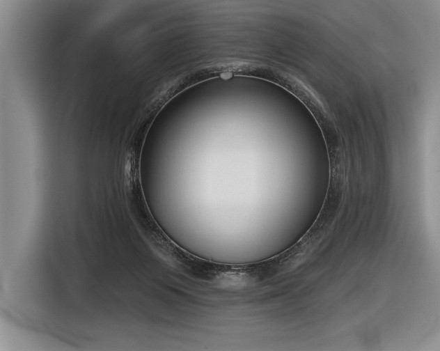 X0000116850119200912221126
