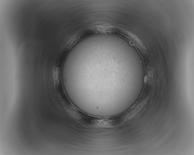 X0000116850121200912221126