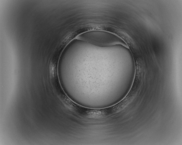 X0000116850123200912221126