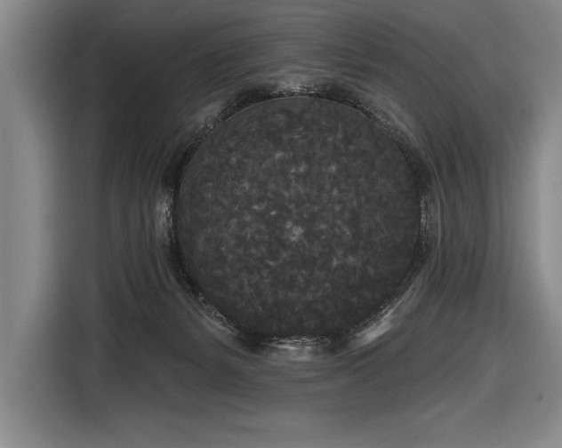X0000116850127200912221126