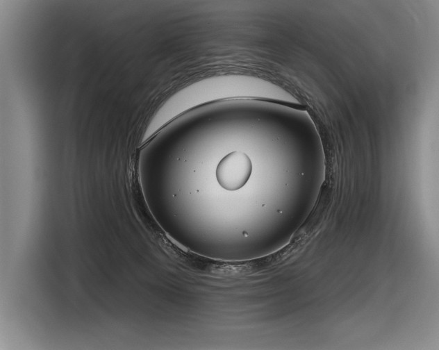 X0000116850129200912221126