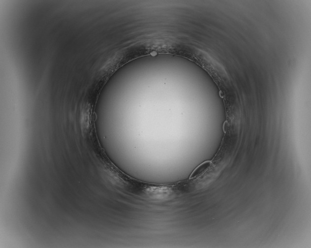 X0000116850133200912221126