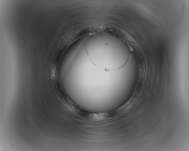 X0000116850134200912221126