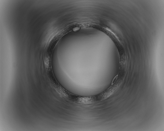X0000116850139200912221126