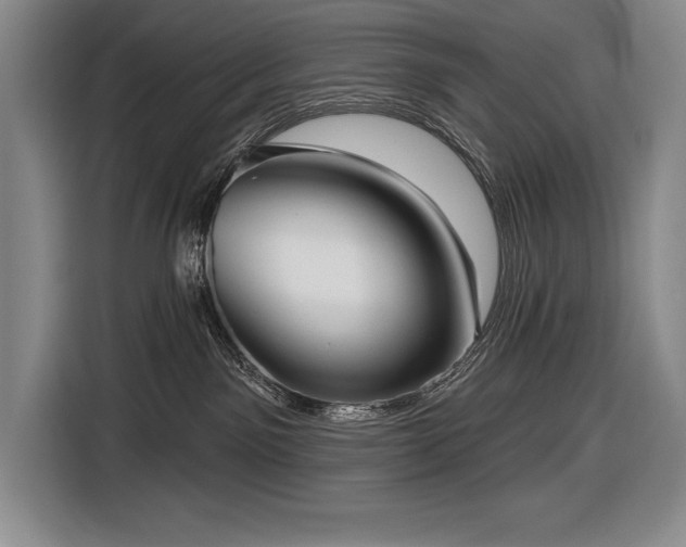 X0000116850141200912221126