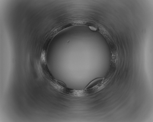 X0000116850143200912221126
