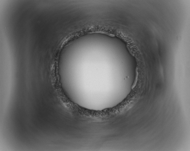 X0000116850144200912221126