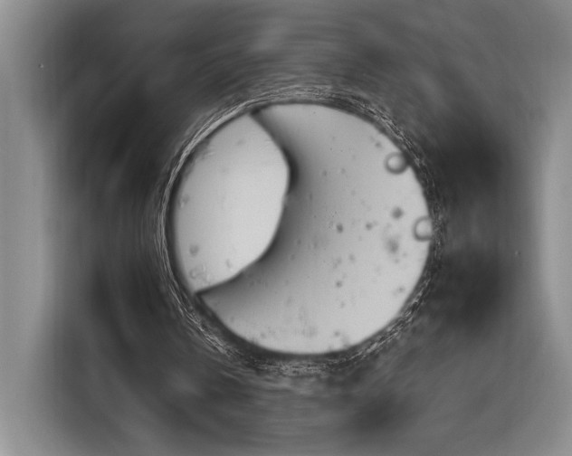 X0000116850146200912221125