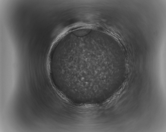 X0000116850149200912221125
