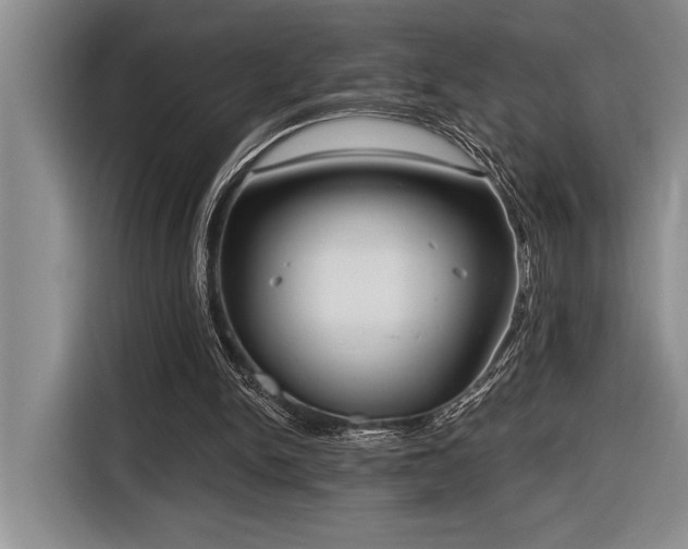 X0000116850150200912221125
