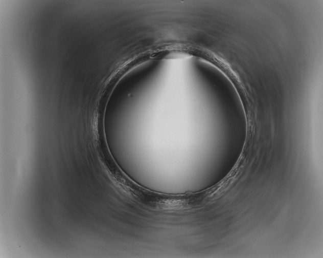 X0000116850154200912221125