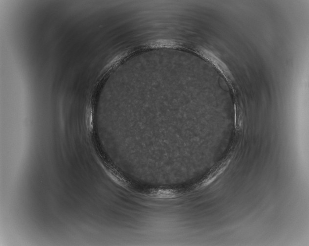 X0000116850157200912221126