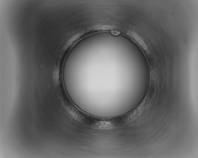 X0000116850159200912221126