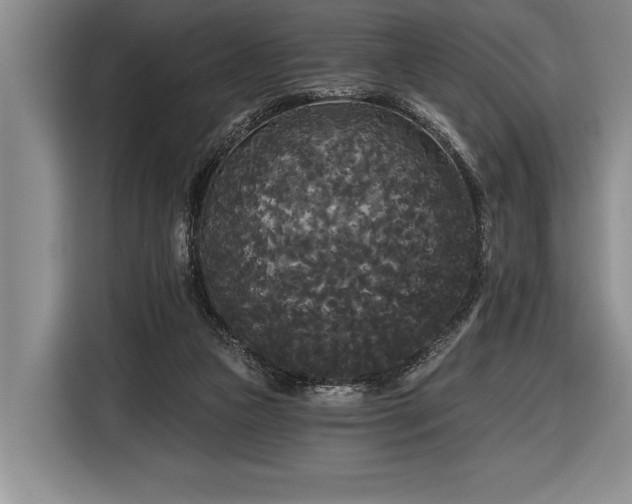 X0000116850161200912221126