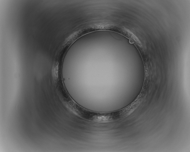 X0000116850163200912221126