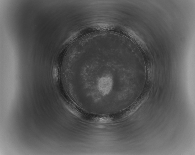 X0000116850165200912221126