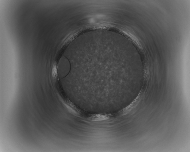 X0000116850166200912221126