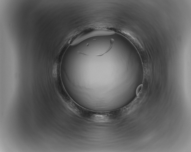 X0000116850167200912221126