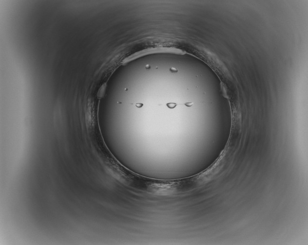 X0000116850170200912221126