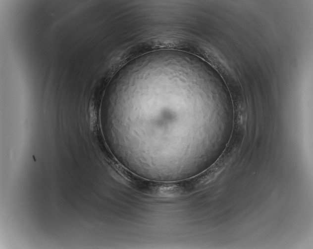 X0000116850173200912221126