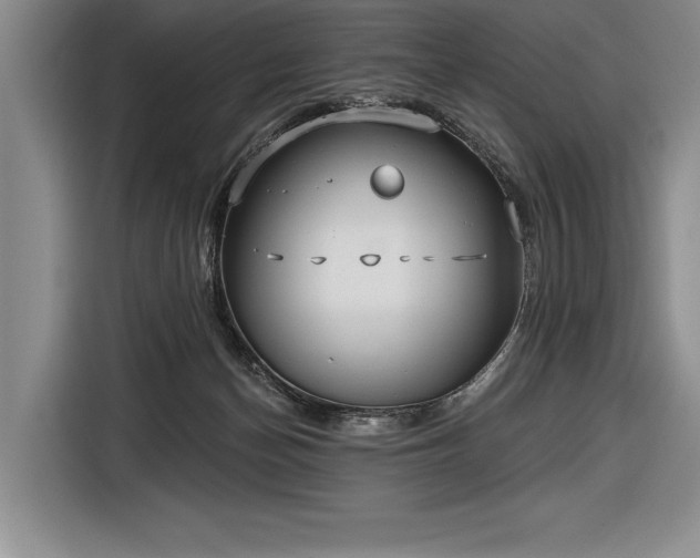 X0000116850174200912221126