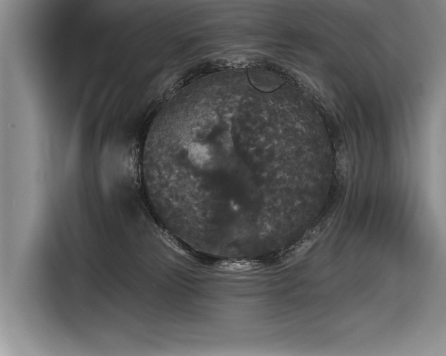 X0000116850181200912221126