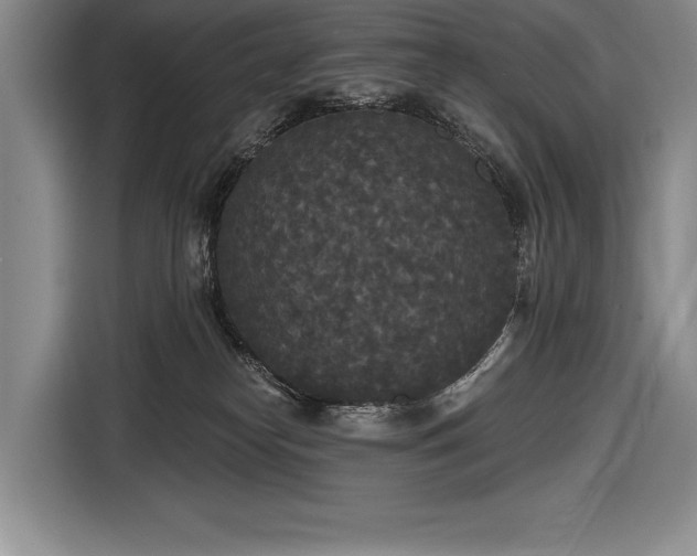 X0000116850182200912221126