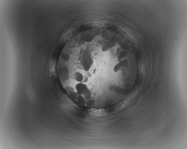 X0000116850185200912221126