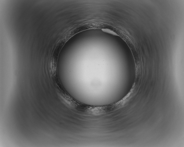 X0000116850186200912221126