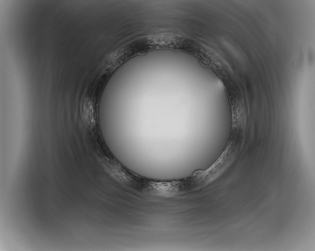 X0000116850187200912221126