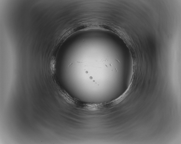 X0000116850190200912221126