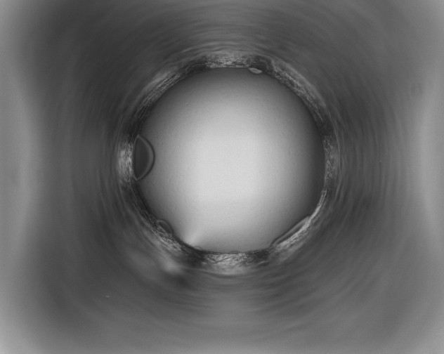 X0000116850191200912221126