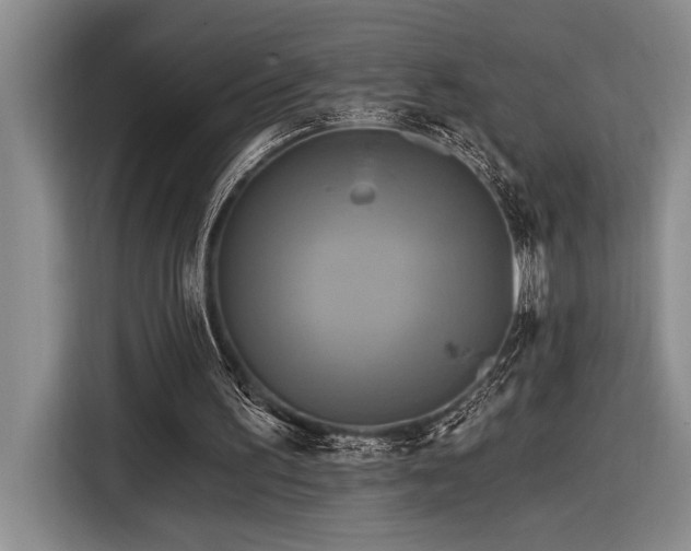 X0000116850195200912221125