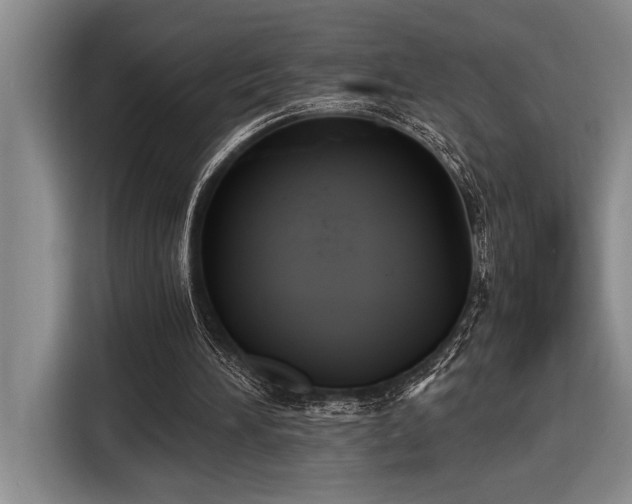X0000116850196200912221125