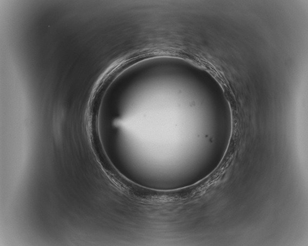 X0000116850197200912221125