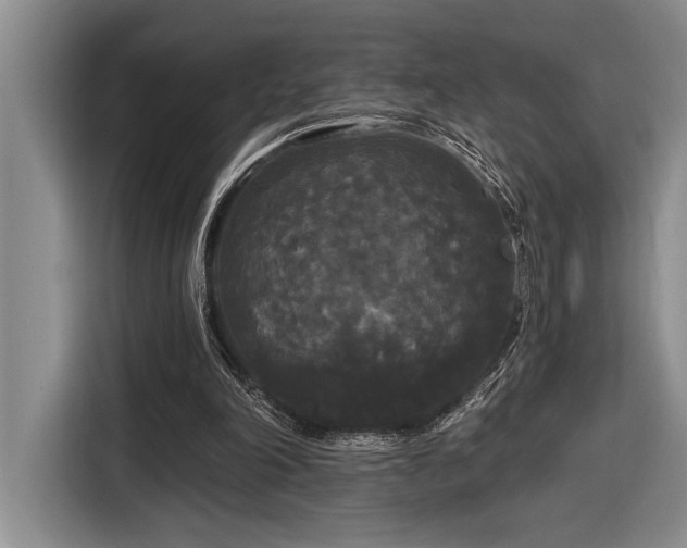 X0000116850198200912221125